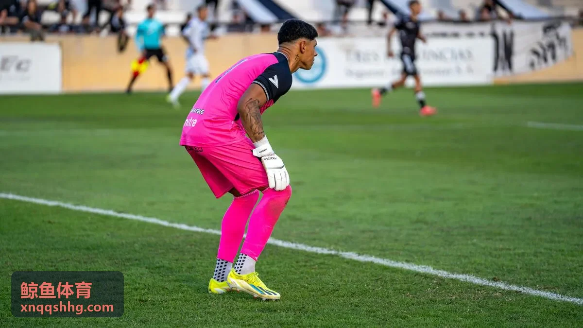 鲸鱼体育实时数据推送