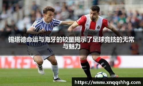 天博tb·体育官方网站