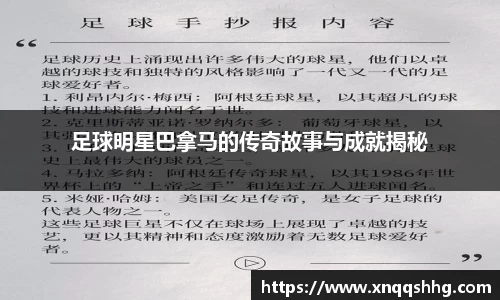 天博·综合体育官网入口