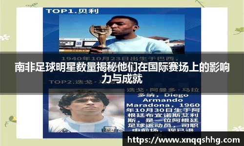 天博·综合体育官网入口